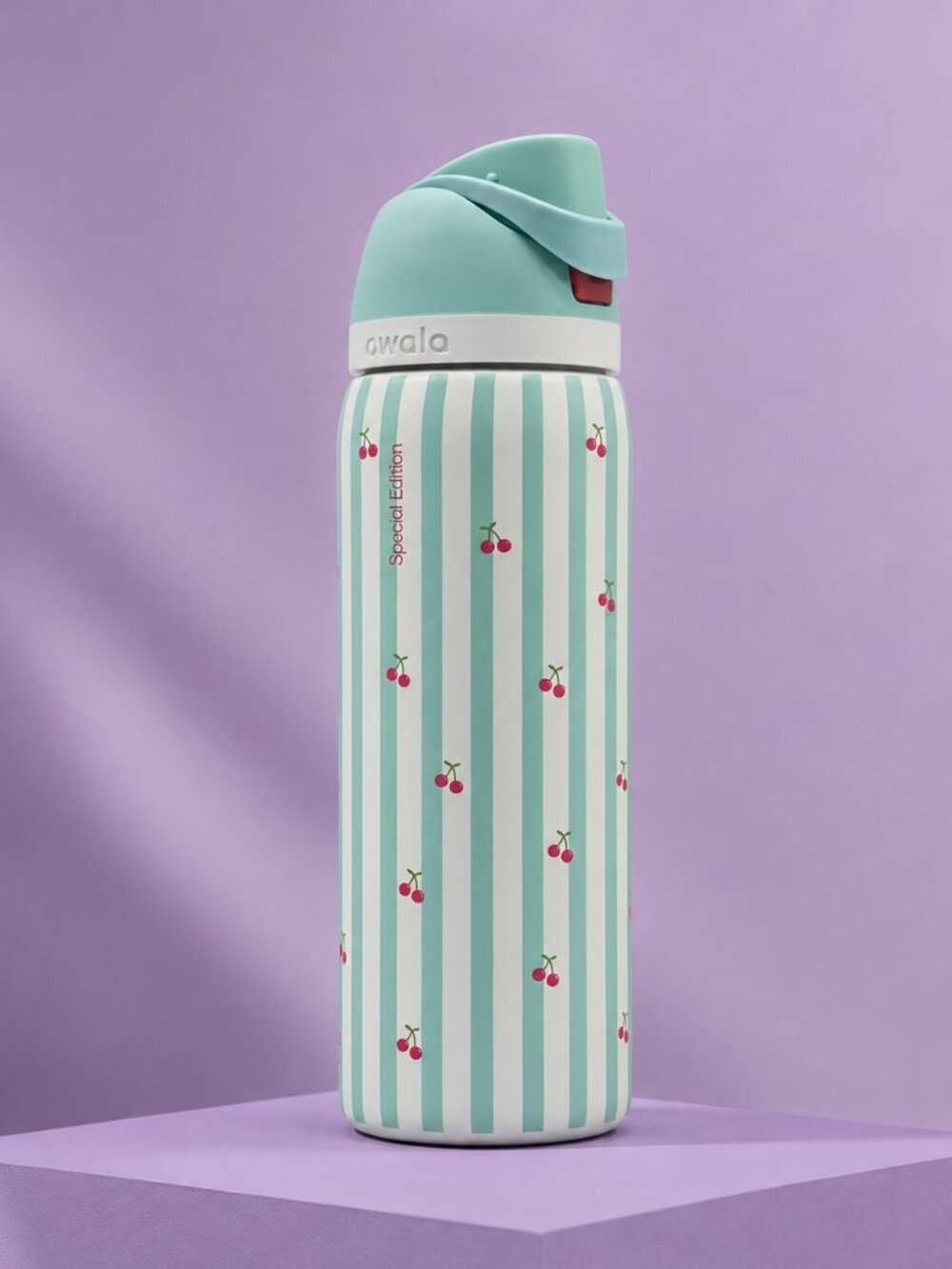 Owala 32oz Water Bottle Leakproof Insulated Straw Bottle